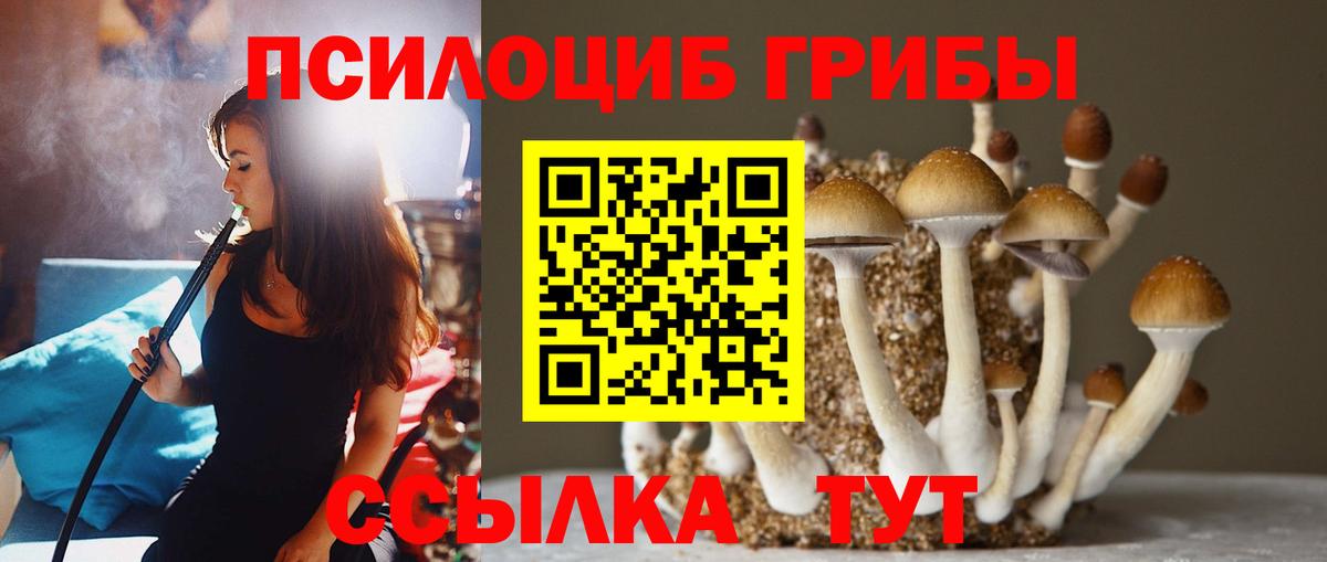 Симферополь  Галлюциногенные грибы ЛСД  Вход с VPN 